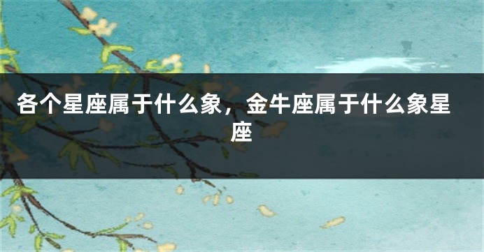 各个星座属于什么象，金牛座属于什么象星座