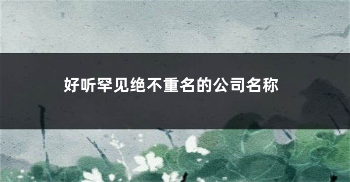 好听罕见绝不重名的公司名称