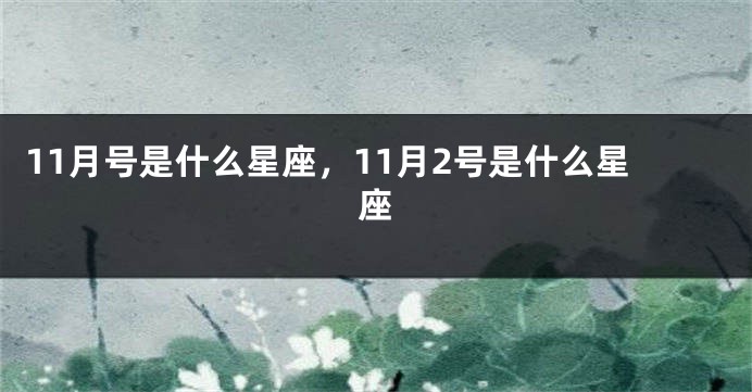 11月号是什么星座，11月2号是什么星座