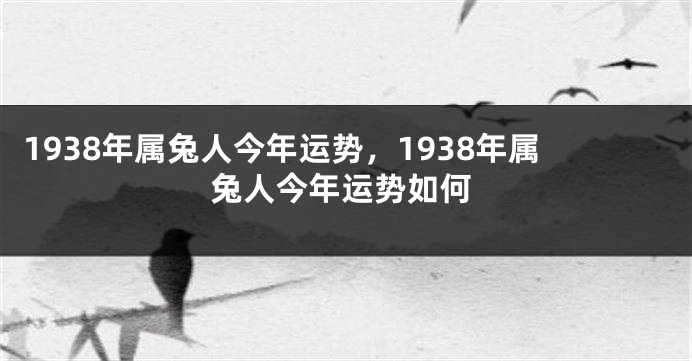 1938年属兔人今年运势，1938年属兔人今年运势如何