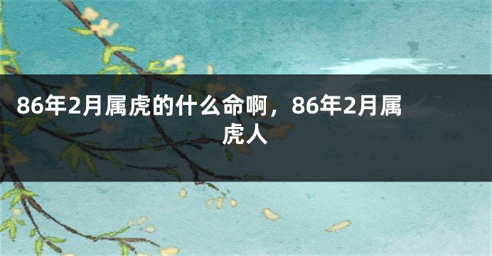 86年2月属虎的什么命啊，86年2月属虎人