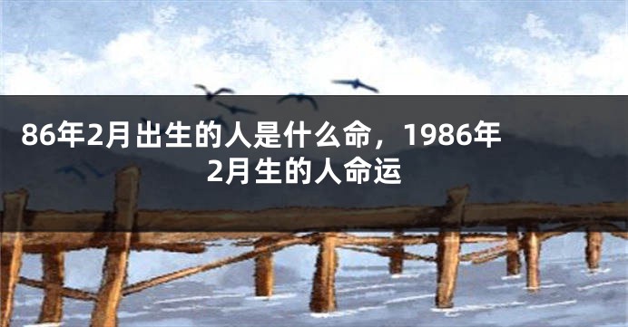 86年2月出生的人是什么命，1986年2月生的人命运