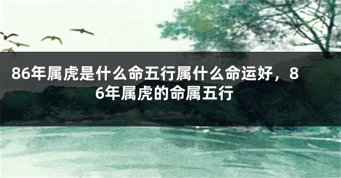 86年属虎是什么命五行属什么命运好，86年属虎的命属五行