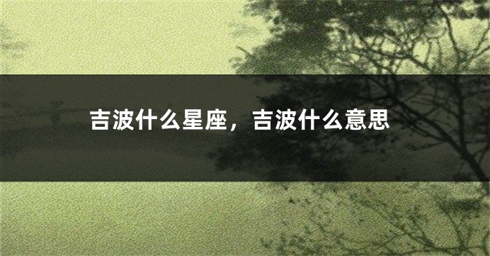 吉波什么星座，吉波什么意思