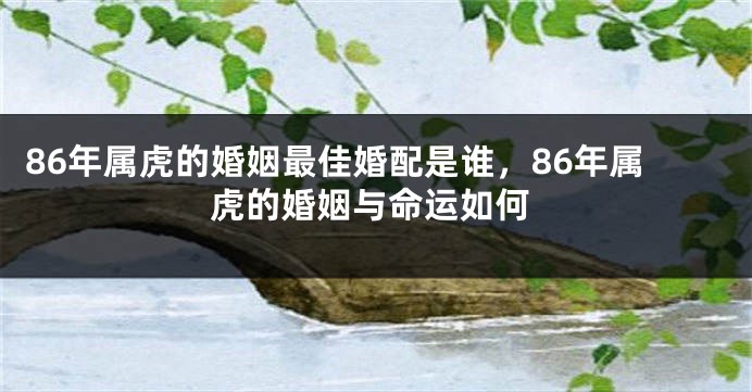 86年属虎的婚姻最佳婚配是谁，86年属虎的婚姻与命运如何