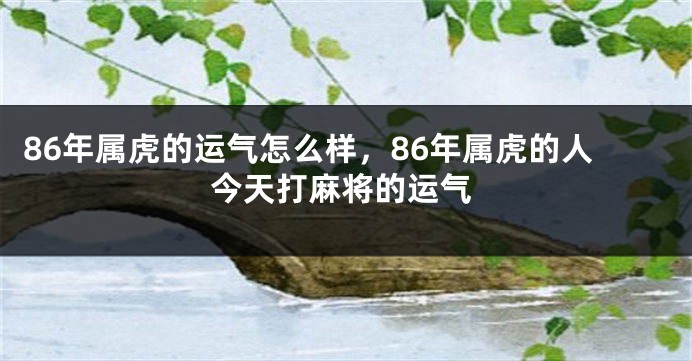 86年属虎的运气怎么样，86年属虎的人今天打麻将的运气