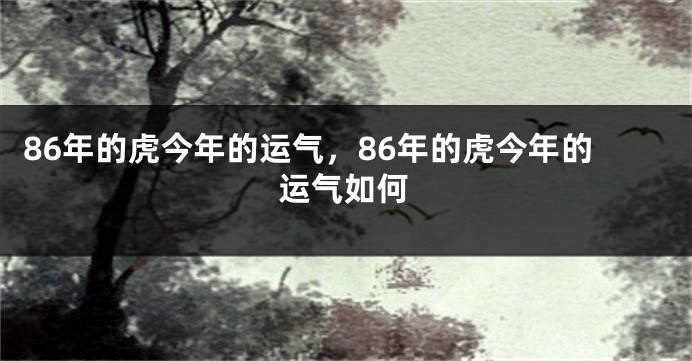 86年的虎今年的运气，86年的虎今年的运气如何