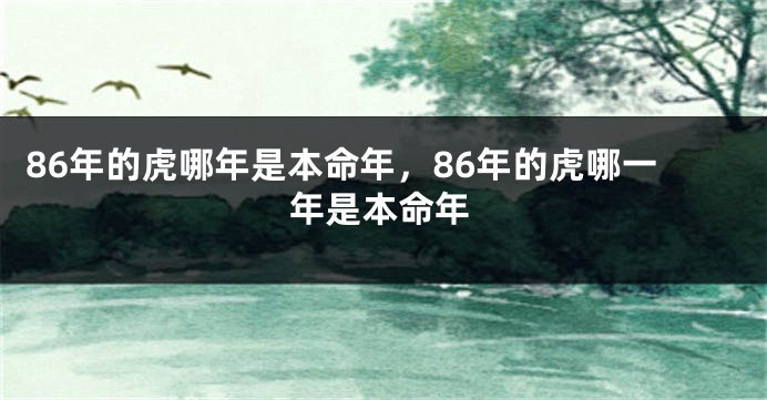 86年的虎哪年是本命年，86年的虎哪一年是本命年