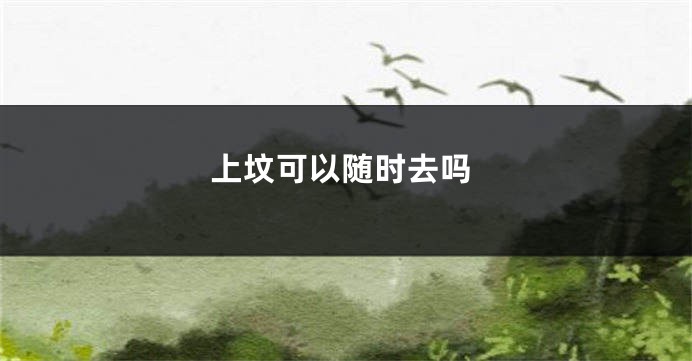 上坟可以随时去吗