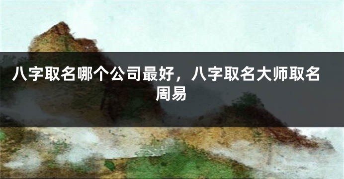 八字取名哪个公司最好，八字取名大师取名周易