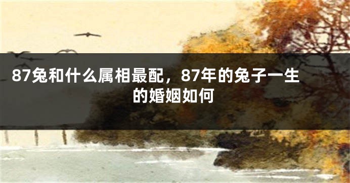 87兔和什么属相最配，87年的兔子一生的婚姻如何