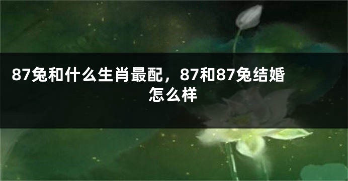 87兔和什么生肖最配，87和87兔结婚怎么样