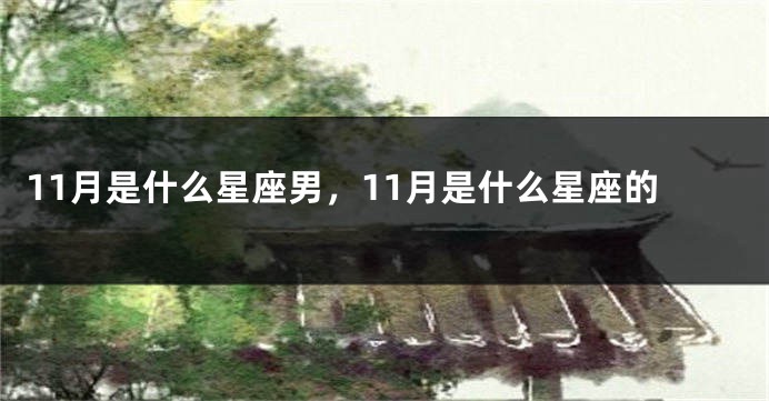 11月是什么星座男，11月是什么星座的