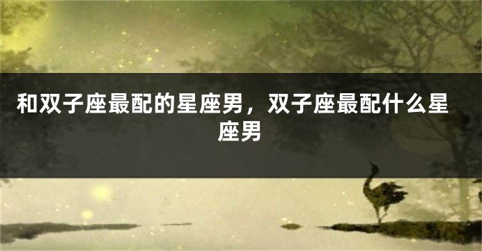 和双子座最配的星座男，双子座最配什么星座男