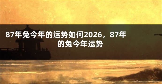 87年兔今年的运势如何2026，87年的兔今年运势