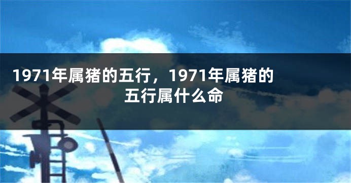 1971年属猪的五行，1971年属猪的五行属什么命