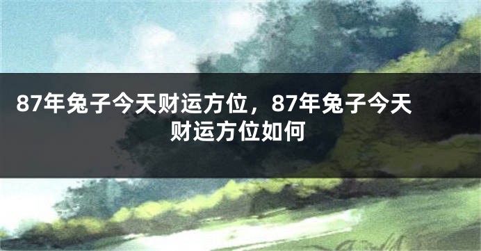 87年兔子今天财运方位，87年兔子今天财运方位如何