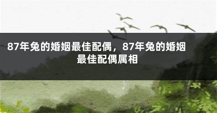 87年兔的婚姻最佳配偶，87年兔的婚姻最佳配偶属相
