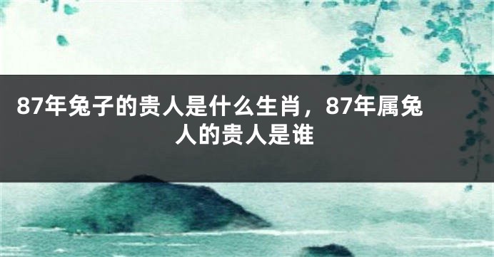 87年兔子的贵人是什么生肖，87年属兔人的贵人是谁
