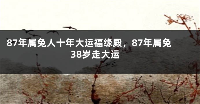87年属兔人十年大运福缘殿，87年属兔38岁走大运