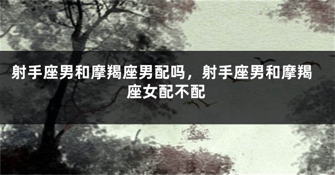 射手座男和摩羯座男配吗，射手座男和摩羯座女配不配