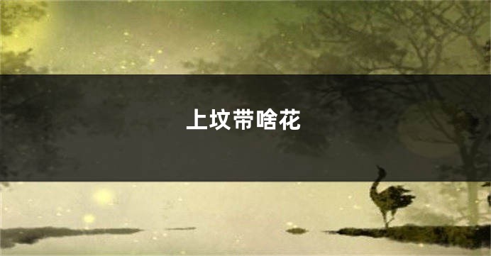 上坟带啥花