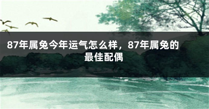 87年属兔今年运气怎么样，87年属兔的最佳配偶