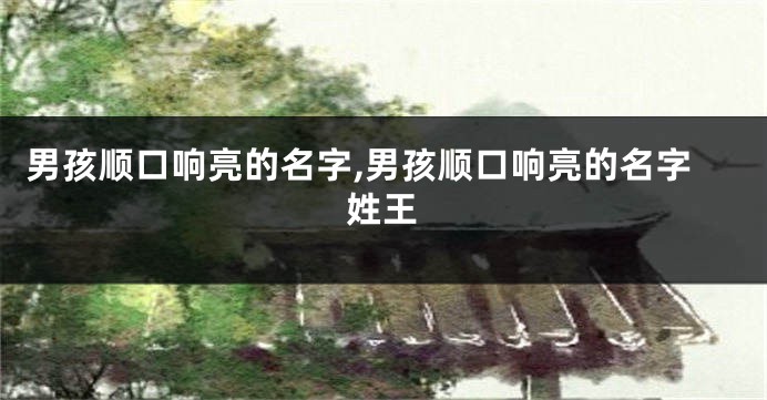 男孩顺口响亮的名字,男孩顺口响亮的名字姓王