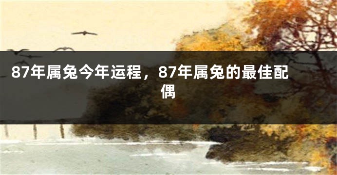 87年属兔今年运程，87年属兔的最佳配偶