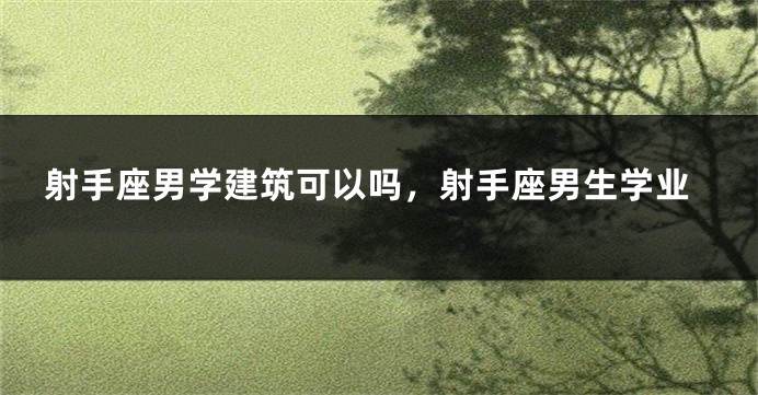 射手座男学建筑可以吗，射手座男生学业
