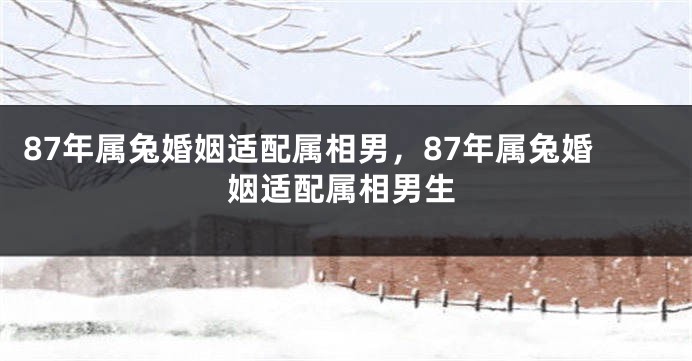 87年属兔婚姻适配属相男，87年属兔婚姻适配属相男生