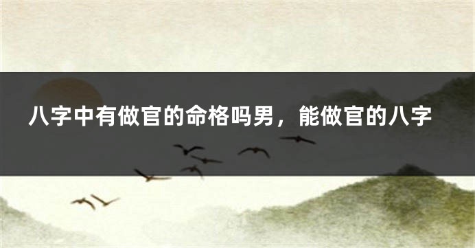 八字中有做官的命格吗男，能做官的八字