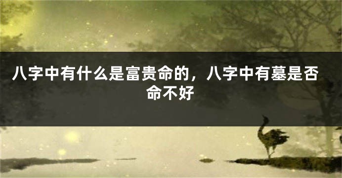 八字中有什么是富贵命的，八字中有墓是否命不好