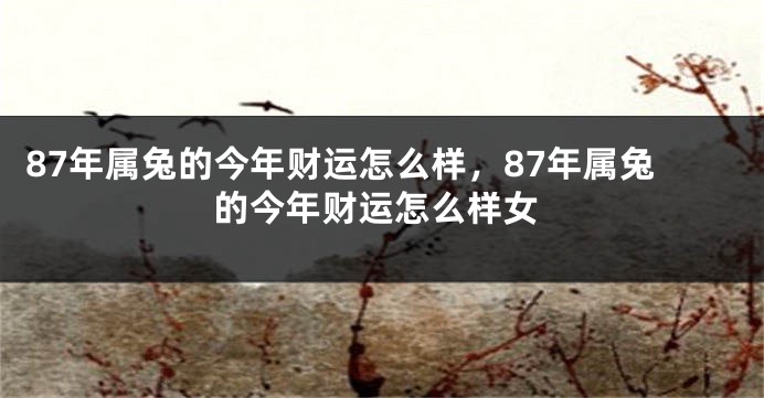 87年属兔的今年财运怎么样，87年属兔的今年财运怎么样女