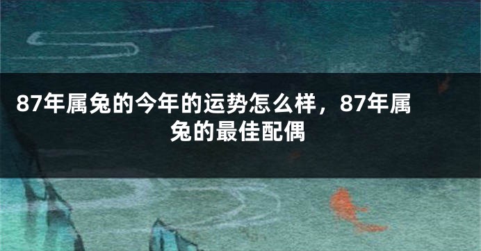 87年属兔的今年的运势怎么样，87年属兔的最佳配偶