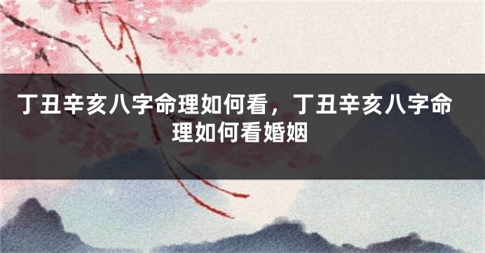 丁丑辛亥八字命理如何看，丁丑辛亥八字命理如何看婚姻
