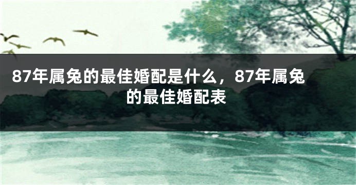 87年属兔的最佳婚配是什么，87年属兔的最佳婚配表