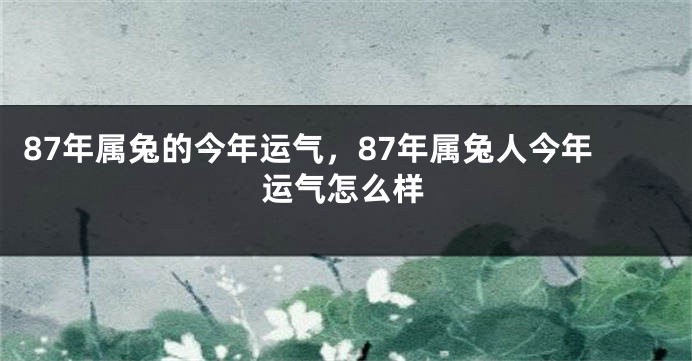 87年属兔的今年运气，87年属兔人今年运气怎么样