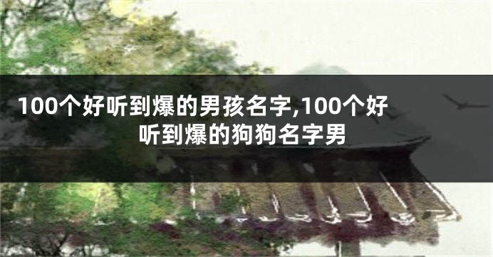 100个好听到爆的男孩名字,100个好听到爆的狗狗名字男