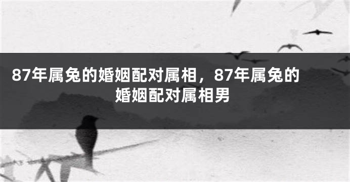 87年属兔的婚姻配对属相，87年属兔的婚姻配对属相男