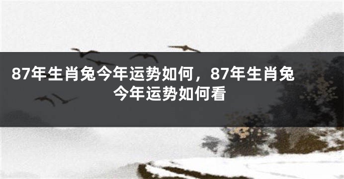 87年生肖兔今年运势如何，87年生肖兔今年运势如何看