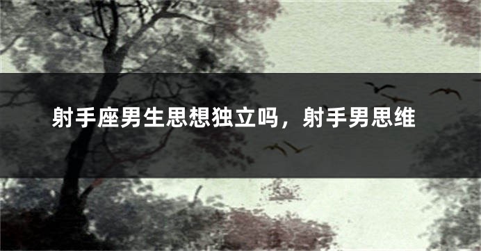 射手座男生思想独立吗，射手男思维
