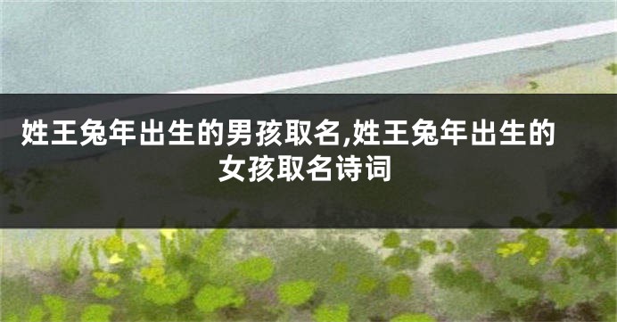姓王兔年出生的男孩取名,姓王兔年出生的女孩取名诗词