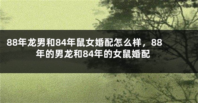 88年龙男和84年鼠女婚配怎么样，88年的男龙和84年的女鼠婚配