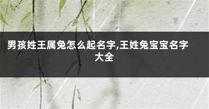 男孩姓王属兔怎么起名字,王姓兔宝宝名字大全