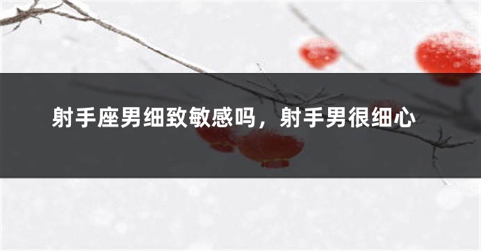 射手座男细致敏感吗，射手男很细心