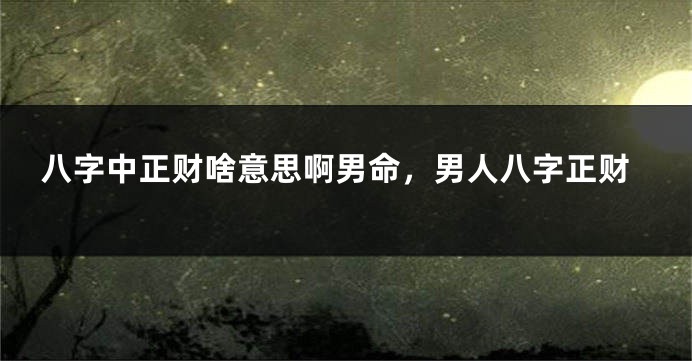 八字中正财啥意思啊男命，男人八字正财