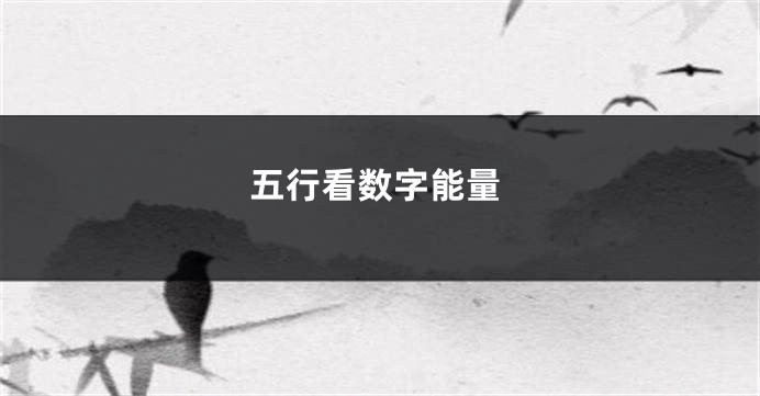 五行看数字能量