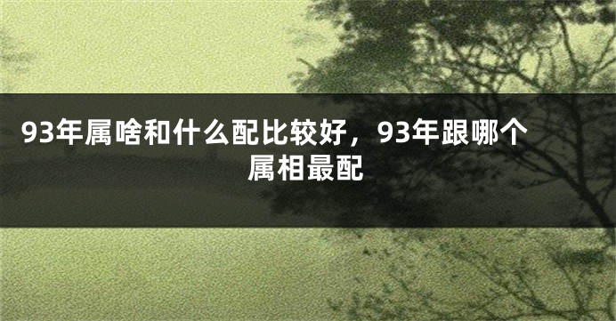 93年属啥和什么配比较好，93年跟哪个属相最配
