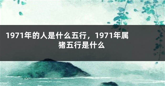 1971年的人是什么五行，1971年属猪五行是什么